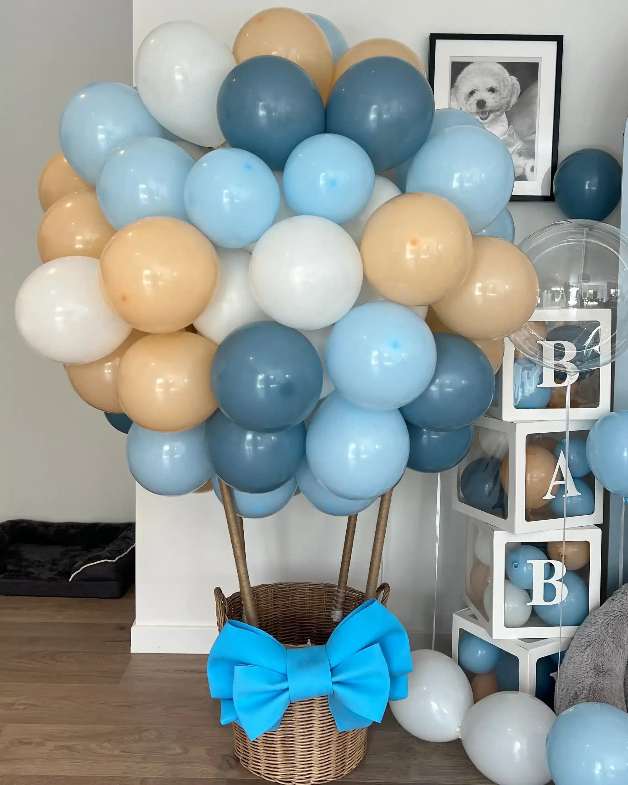 Hot air balloon